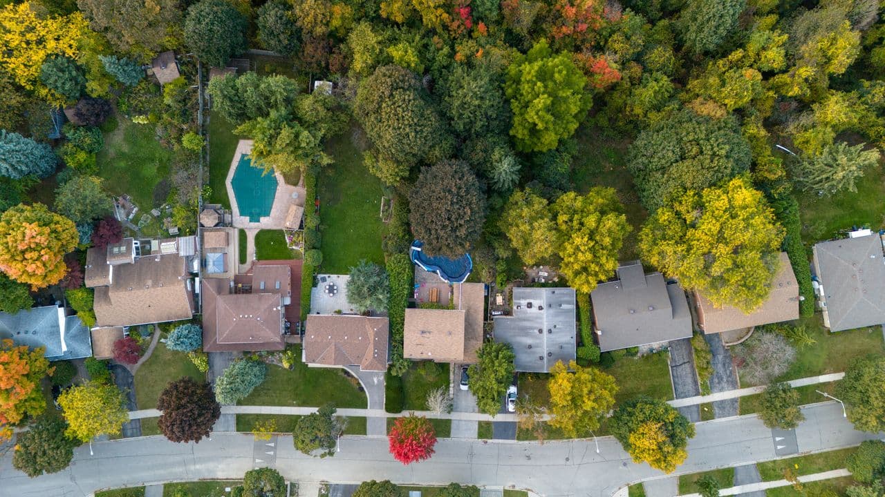 Aerial view of suburban homes among mature trees